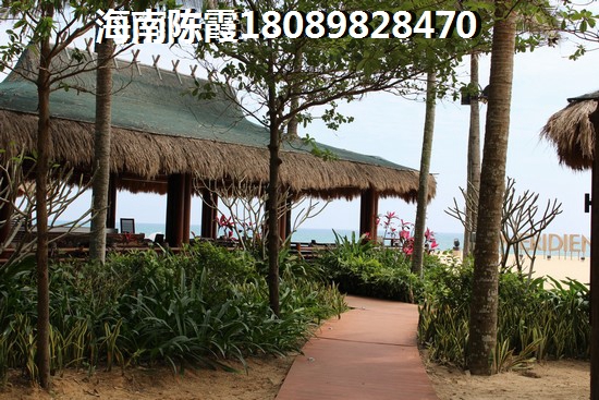 桃山区好吃又健康的特色小吃有哪些（桃山市在哪里）